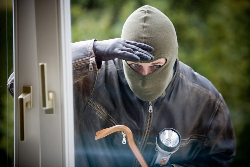 Foiled burglary