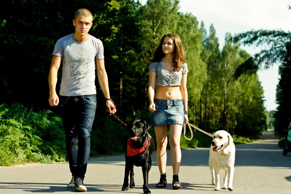 Sites de rencontres animaux