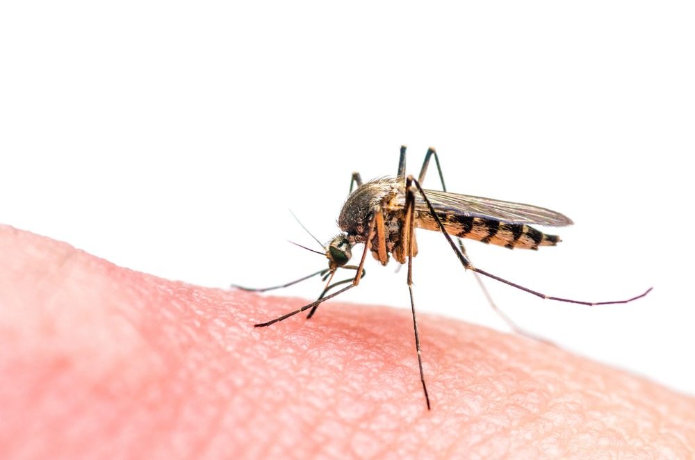 Zika