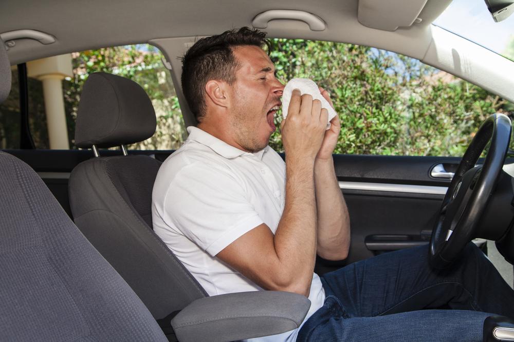 Man niest in zijn auto omwille van hooikoorts