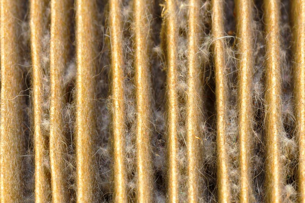 pollenfilter