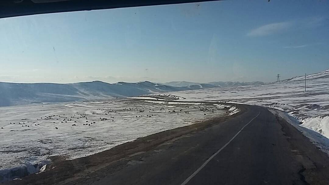 Sibérie-Mongolie3