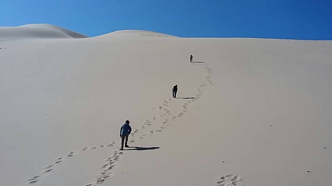 Sibérie-Mongolie12