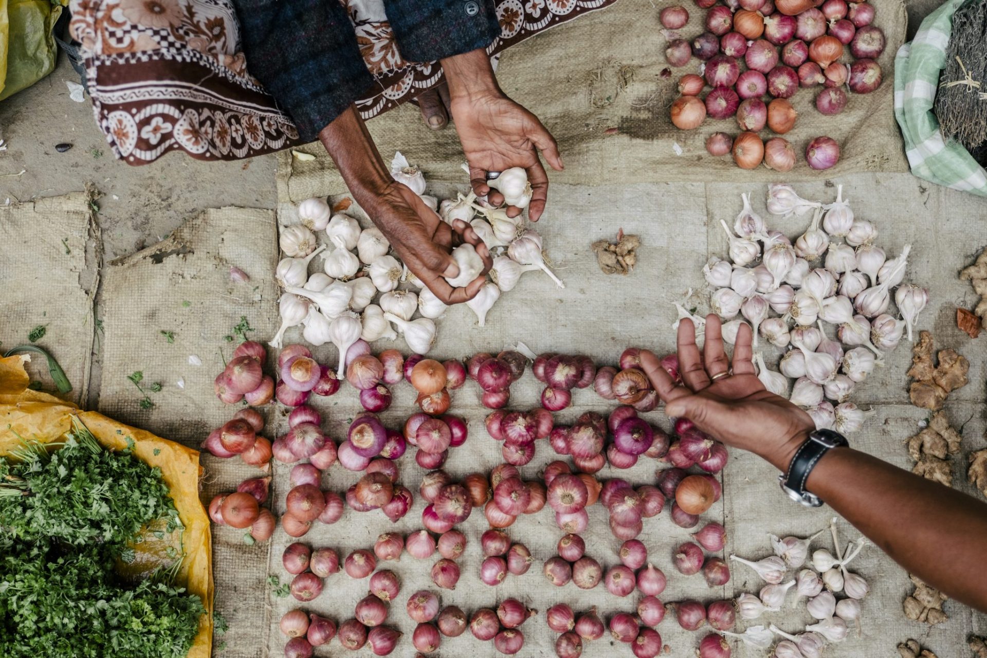 Voyage et alimentation