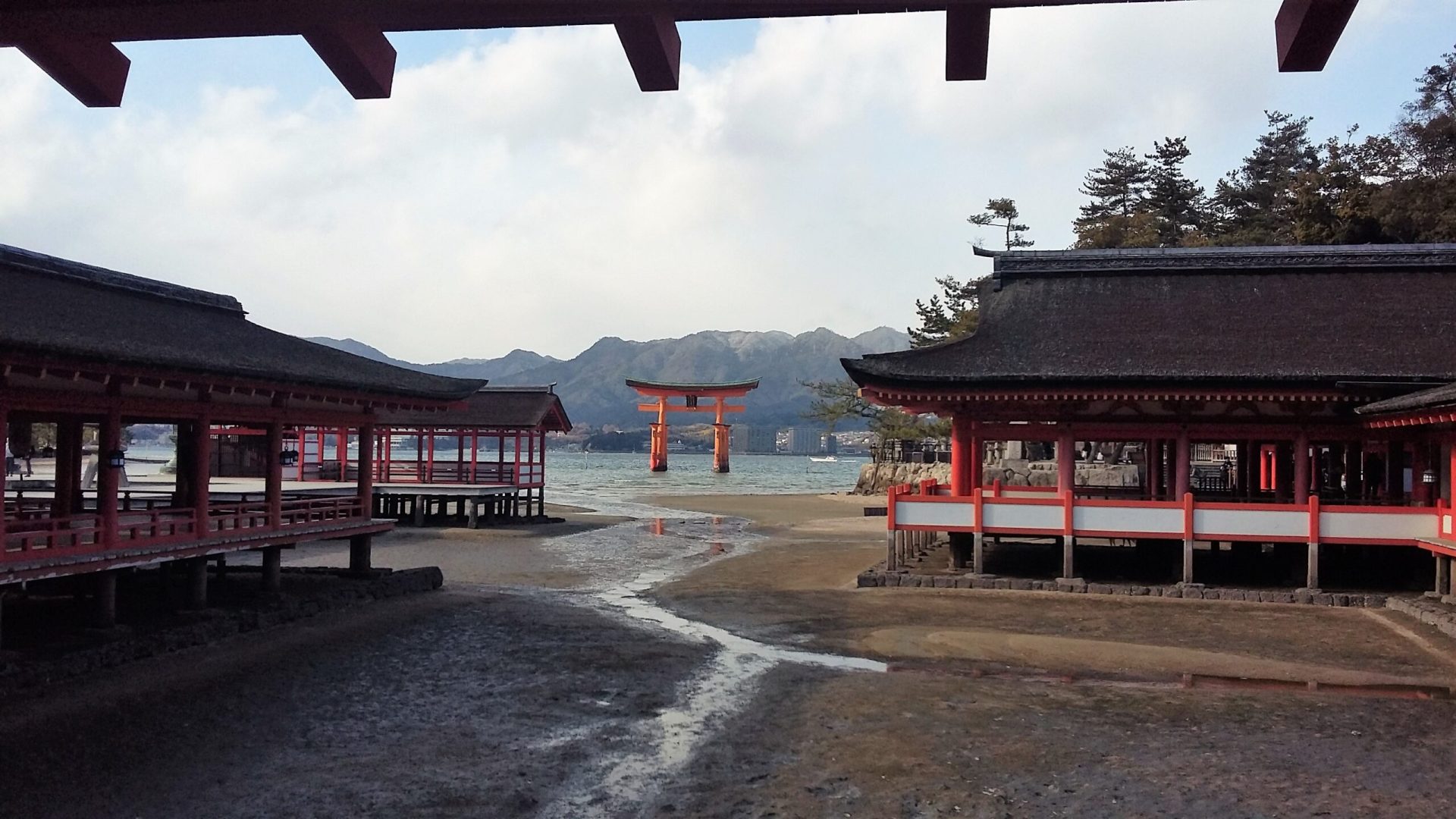 Japon 6
