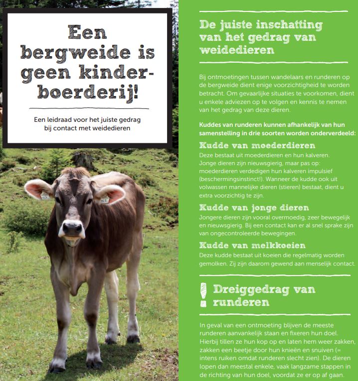 Gids hoe zich te gedragen tegenover dieren in de bergweide