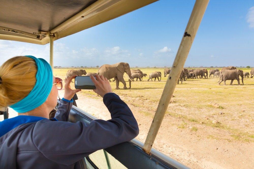Een safari in Afrika: ontmoeting met een kudde olifanten