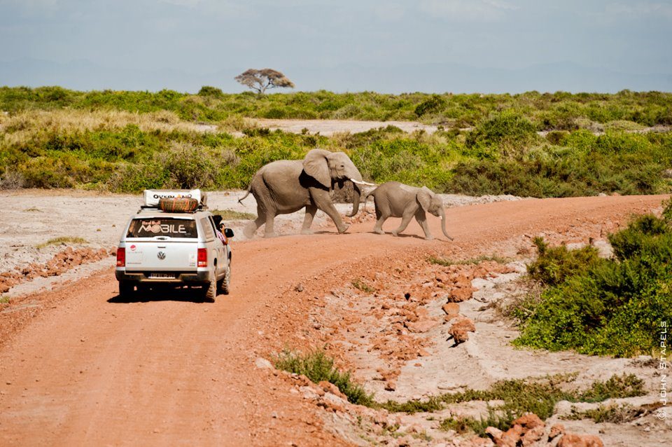 Voyage écoresponsable, rencontre avec des éléphants en Afrique