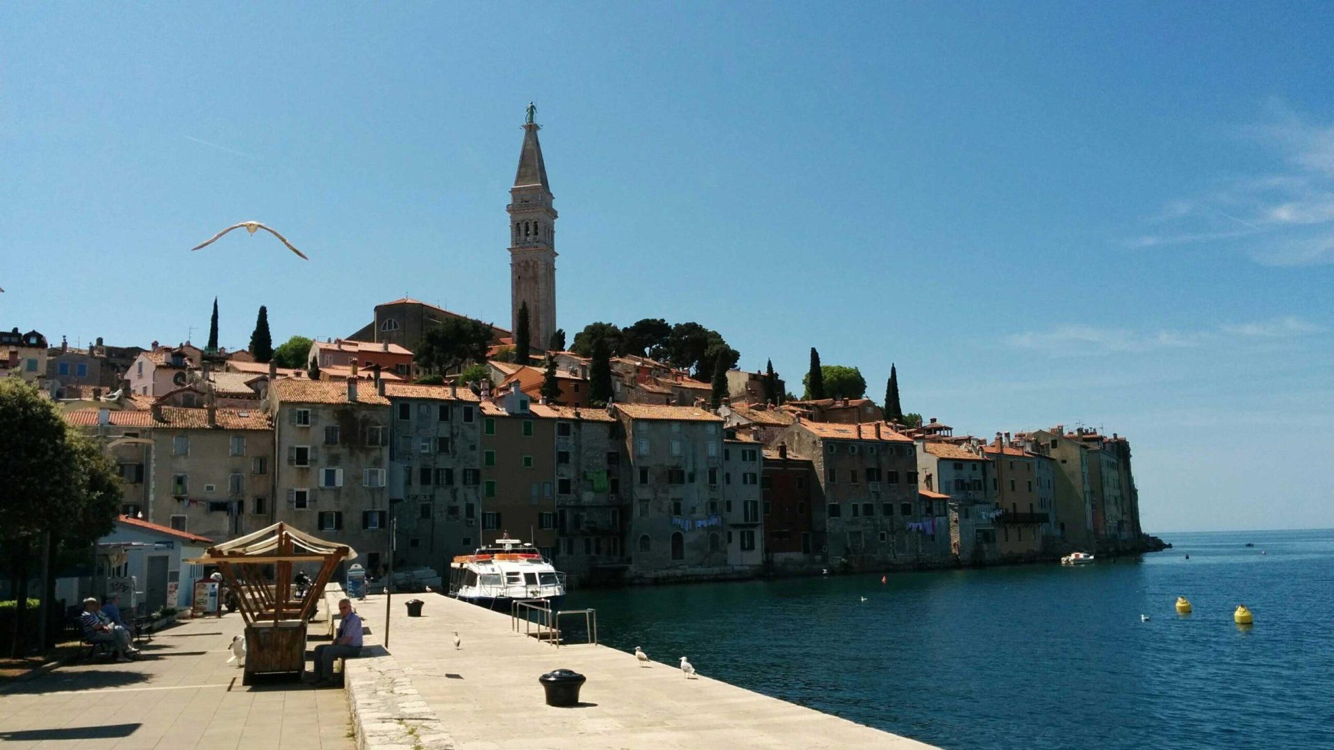 View of the town of Rovinj in Croatia
