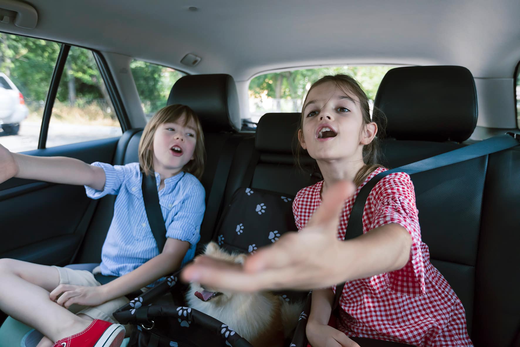 children in the back of a car singing
