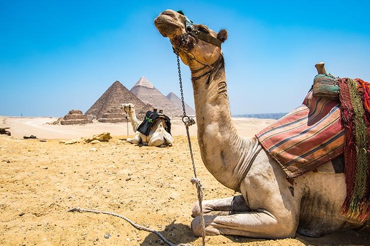 Egypt, Pyramids of Giza